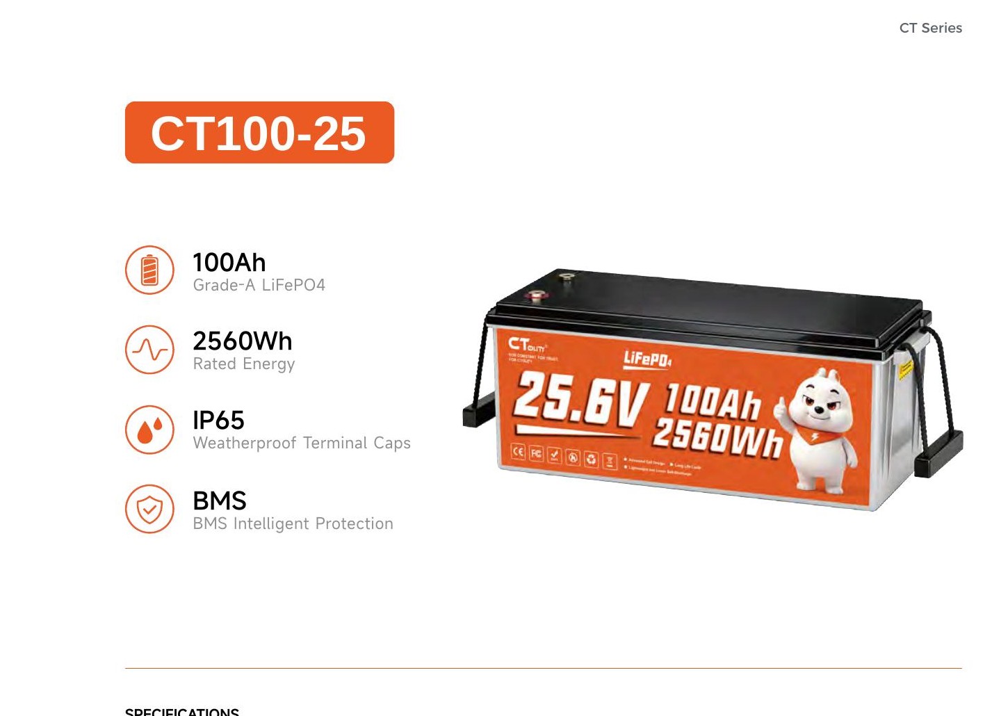 CT100-25 LiFePO4 25.6V 100Ah 2560Wh